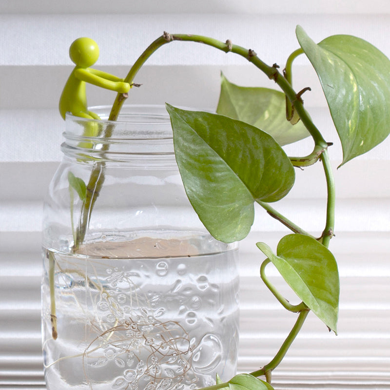 PlantBuddy - Plantvermeerdering Buddy