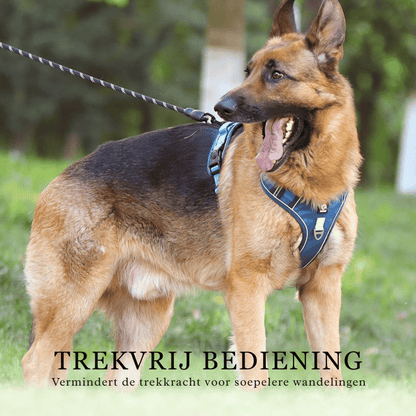 SafeWalk — Veilig Hondentuigje | 50% KORTING