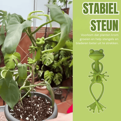 FrogglePods — Speelse Plantenstandaardjes 6 stuks | 50% KORTING