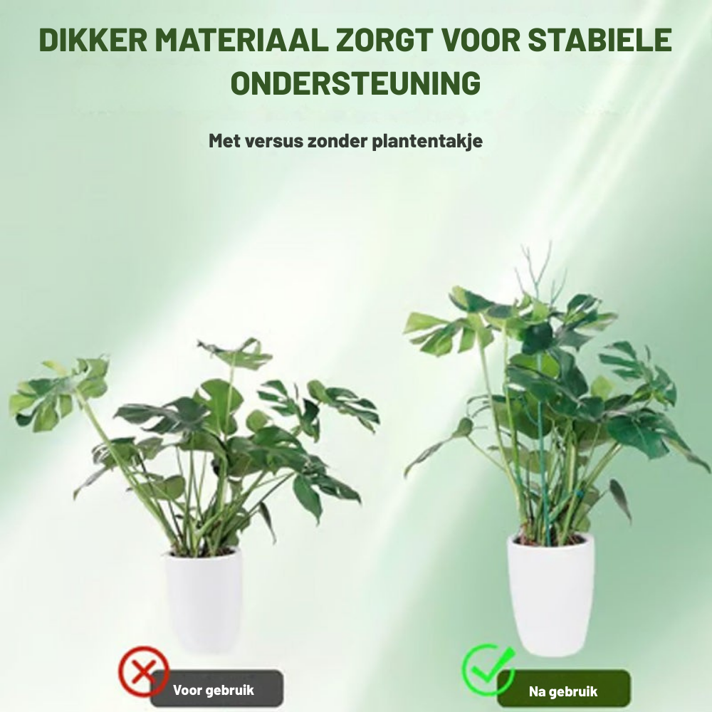 GreenGrow – Natuurlijke Plantensteun Groei | 50% KORTING