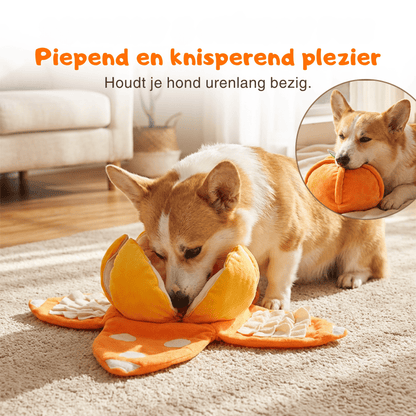 CitrusQuest — Interactief hondenspeelgoed | 50% KORTING