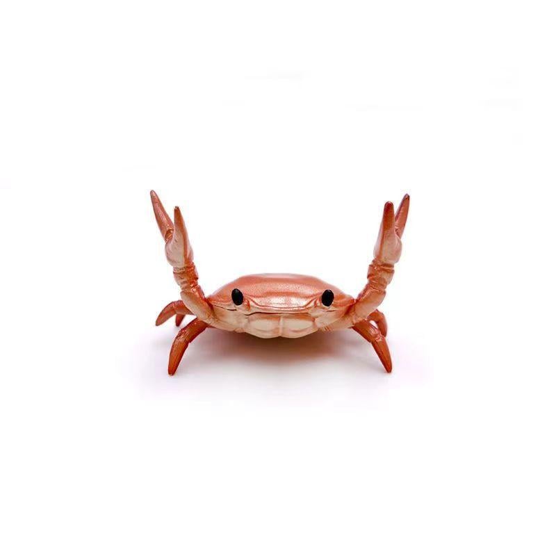 MarvelCrab Organizer — Directe Rust, Netjes Plezier