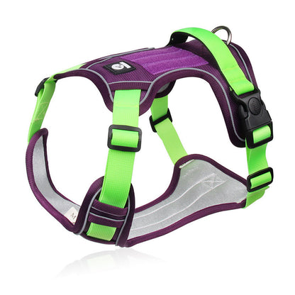 SafeWalk — Veilig Hondentuigje | 50% KORTING