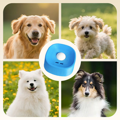 GlidePaw – Interactieve Voedingskom voor je huisdier | 50% KORTING