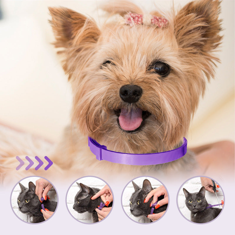 PurpleProwler Halsband — Comfortabele Bescherming, Muggenvrij Genot
