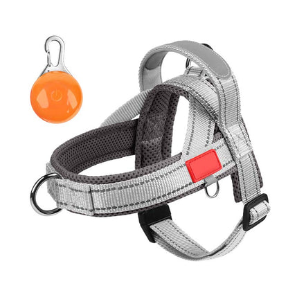 Total Comfort Harnas — Stressvrije, Veilige Wandelingen