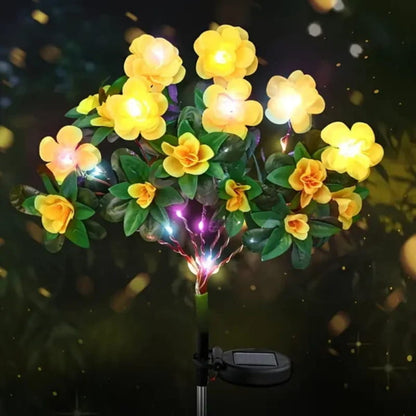 BloomLume – Verander nachten direct