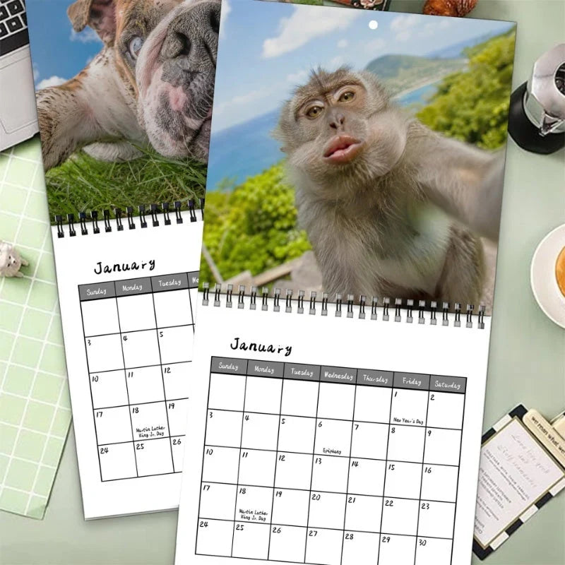 SmileSnap Kalender — Dagelijks Genot, Onovertroffen Helderheid