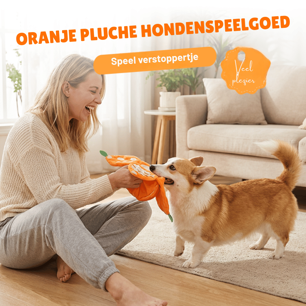 CitrusQuest — Interactief hondenspeelgoed | 50% KORTING