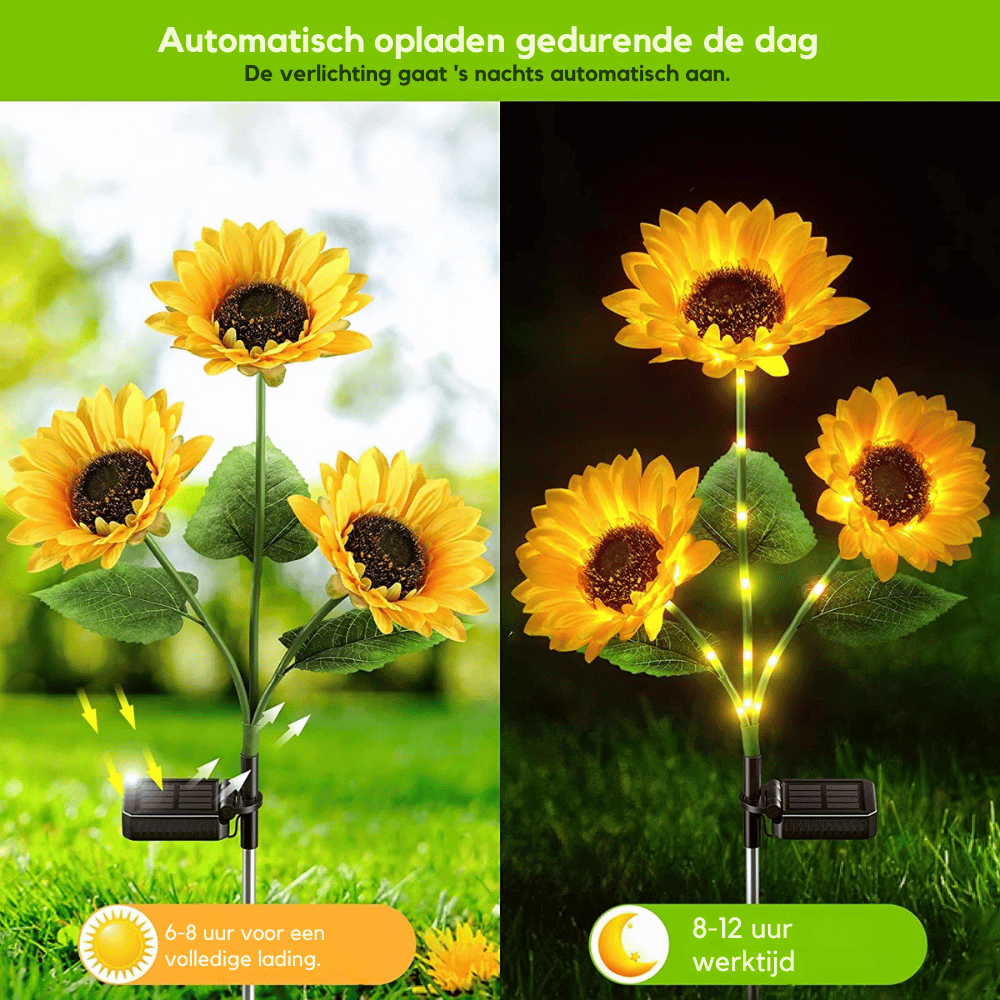 SunGlow — Solar-zonnebloemlampen | 1+1 GRATIS
