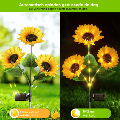 SunGlow — Solar-zonnebloemlampen | 1+1 GRATIS