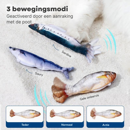 MagnetFish – Interactief Kattenspeelgoed | 1+1 GRATIS