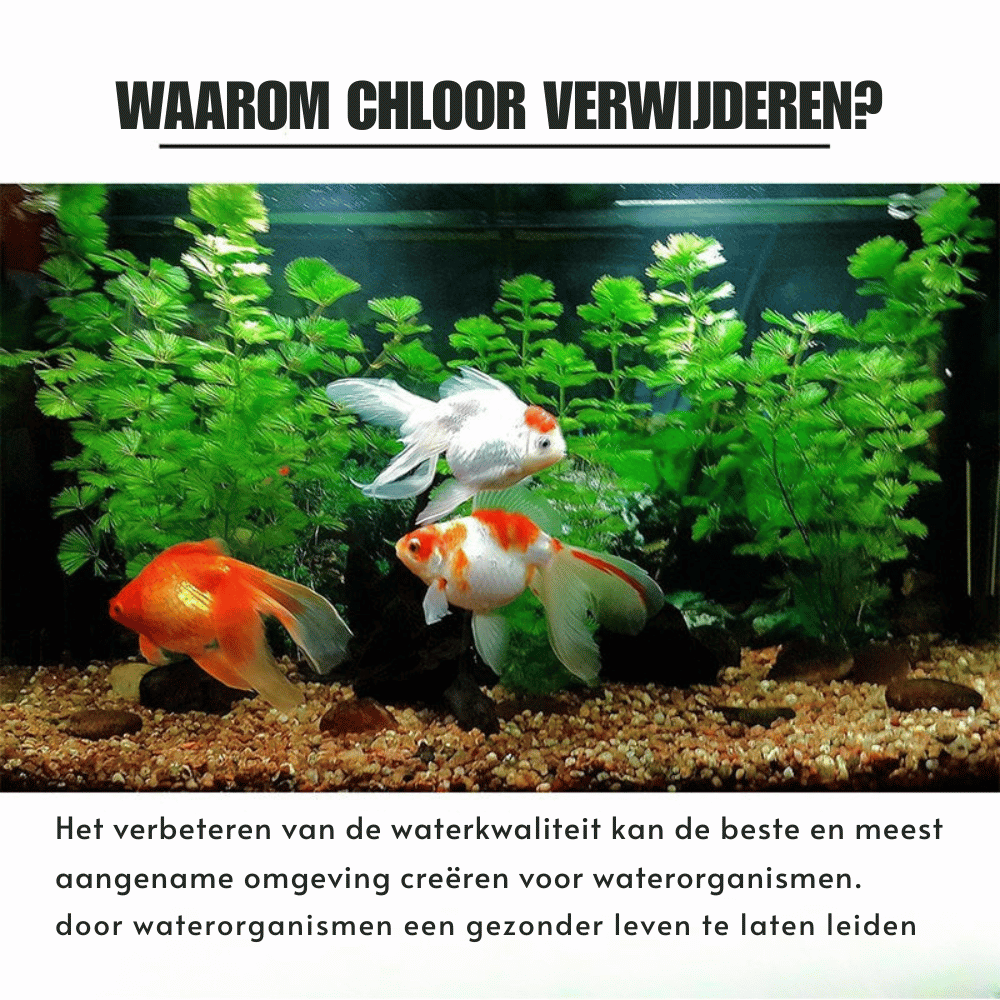 AquaPure — Chloorwerende Tabletten | 1+1 GRATIS