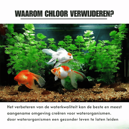 AquaPure — Chloorwerende Tabletten | 1+1 GRATIS