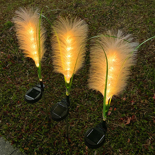 Solar Rietlichten (2st)