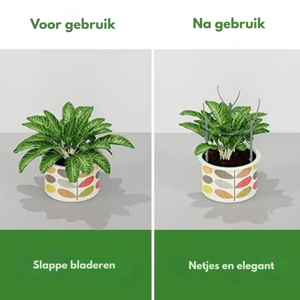 GreenGrow – Natuurlijke Plantensteun Groei | 50% KORTING