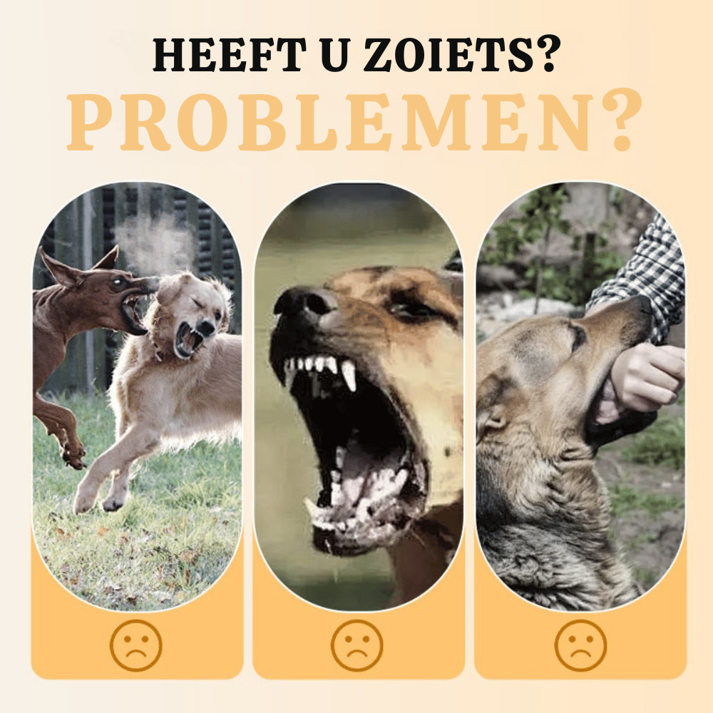 SafeWalk — Veilig Hondentuigje | 50% KORTING