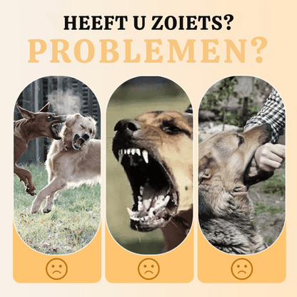 SafeWalk — Veilig Hondentuigje | 50% KORTING