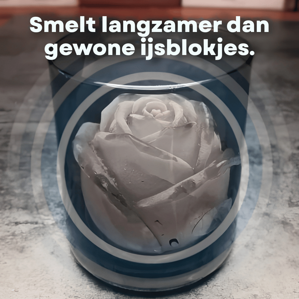RoseChill — Romantische IJsvorm | 1+1 GRATIS
