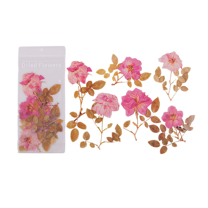 Gedroogde Bloemen Stickers Set