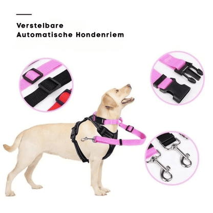 EverPaw — Veilig Reizen voor Honden | 1+1 GRATIS