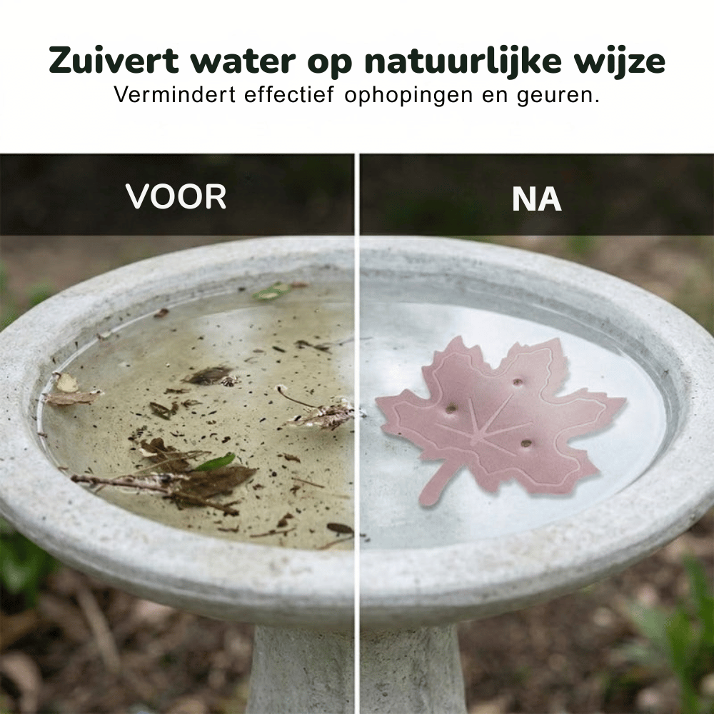 AquaLeaf — Vogelbad Waterreiniger | 50% KORTING