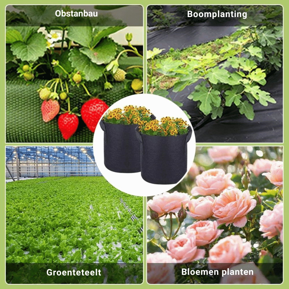 GeoRoot — Ademende Kweekzakken | 1+2 GRATIS