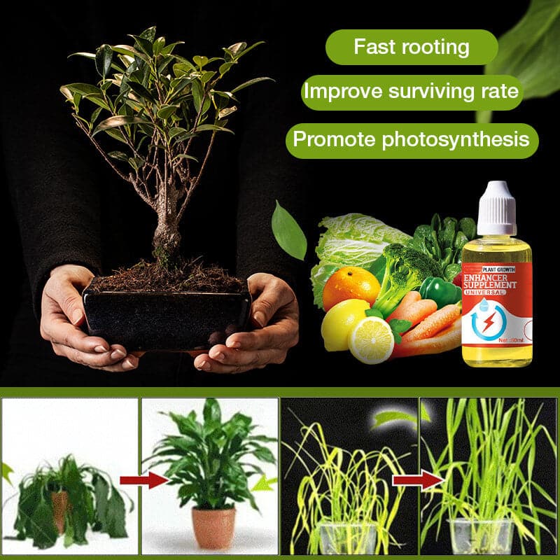RootReign — Krachtige Wortel Booster | 1+1 GRATIS