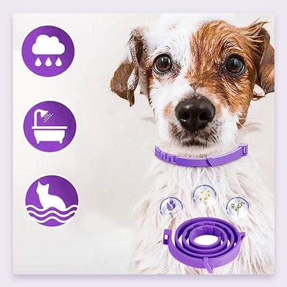 PurpleProwler Halsband — Comfortabele Bescherming, Muggenvrij Genot