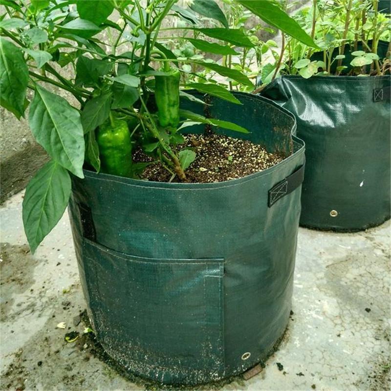 GrowMate — Overvloedige Oogst, Moeiteloos Genot