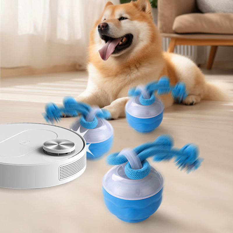 WhirlPaw – Interactieve Speelbal | 2+1 GRATIS