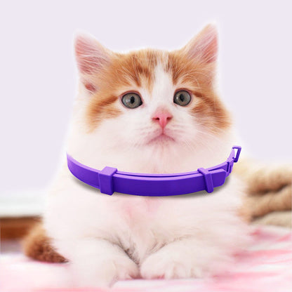 PurpleProwler Halsband — Comfortabele Bescherming, Muggenvrij Genot