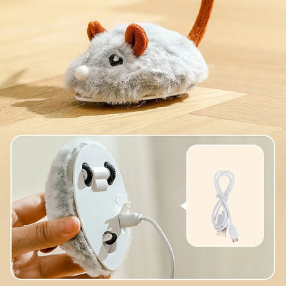 SwiftPounce – Ontketen Eindeloos Katplezier