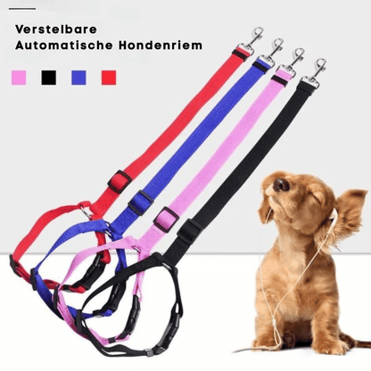 EverPaw — Veilig Reizen voor Honden | 1+1 GRATIS
