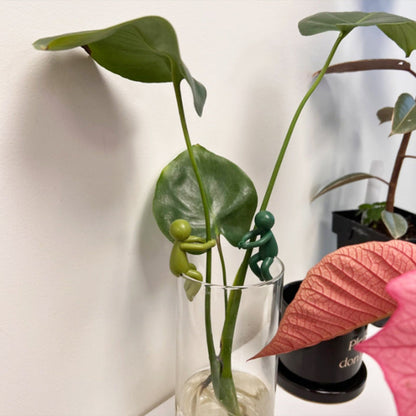 PlantBuddy - Plantvermeerdering Buddy