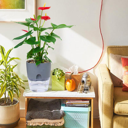 Zelfbewaterende hydrocultuur bloempot