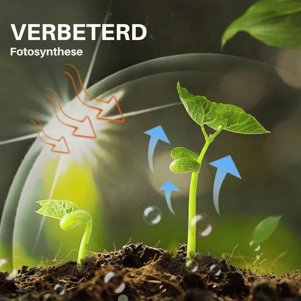 BloomRush — Plantengroei-booster | 1+1 GRATIS