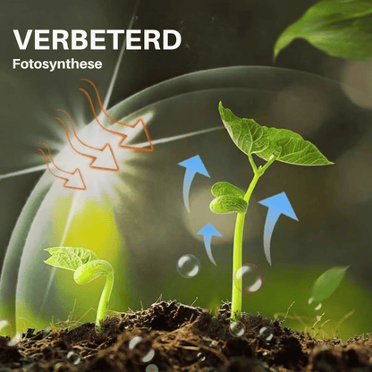 BloomRush — Plantengroei-booster | 1+1 GRATIS