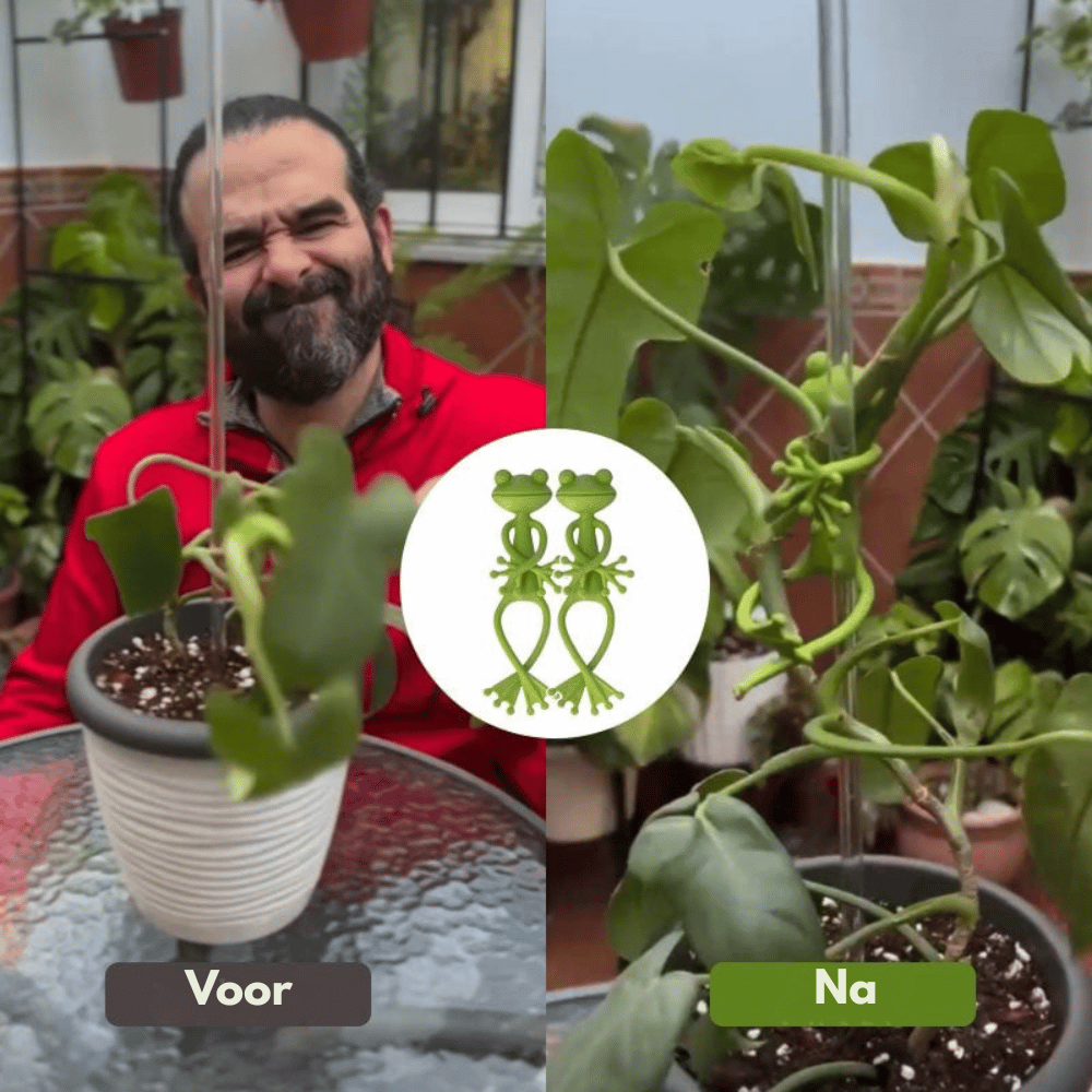 FrogglePods — Speelse Plantenstandaardjes 6 stuks | 50% KORTING