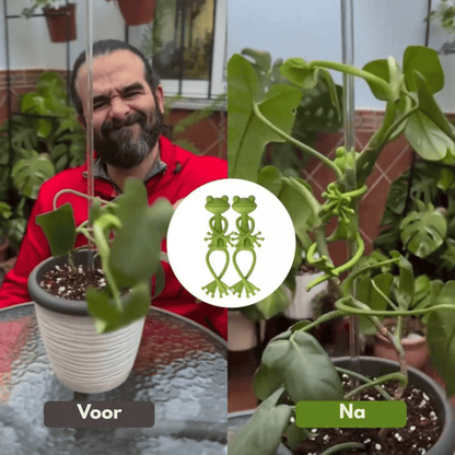 FrogglePods — Speelse Plantenstandaardjes 6 stuks | 50% KORTING