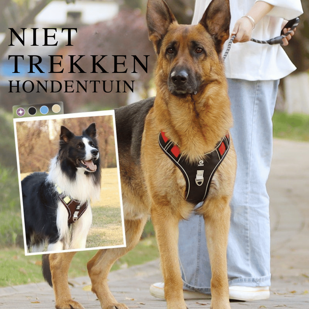 SafeWalk — Veilig Hondentuigje | 50% KORTING
