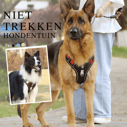 SafeWalk — Veilig Hondentuigje | 50% KORTING