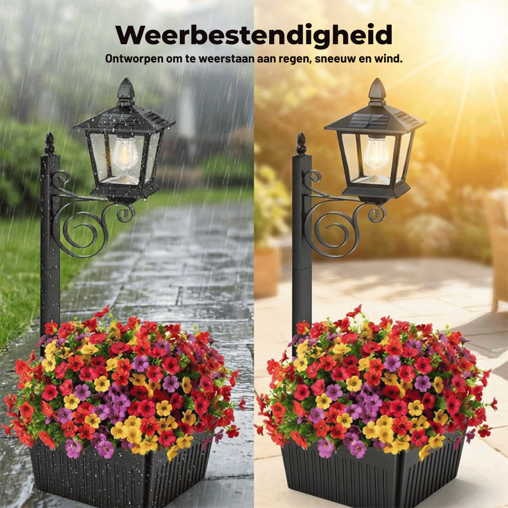GardenGlow — Solar Plantenlamp | 50% KORTING