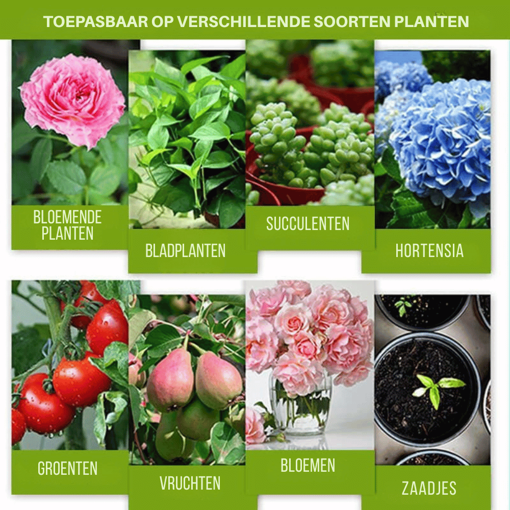 RootReign — Krachtige Wortel Booster | 1+1 GRATIS