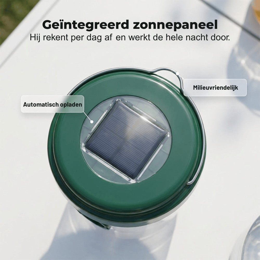 GuardianGlow — Zonne Wespenval | 50% KORTING