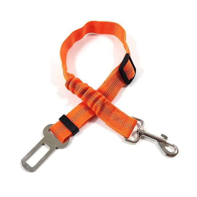 SafePaw — Vrijheid, Veiligheid, Geluk
