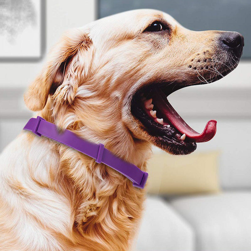 PurpleProwler Halsband — Comfortabele Bescherming, Muggenvrij Genot