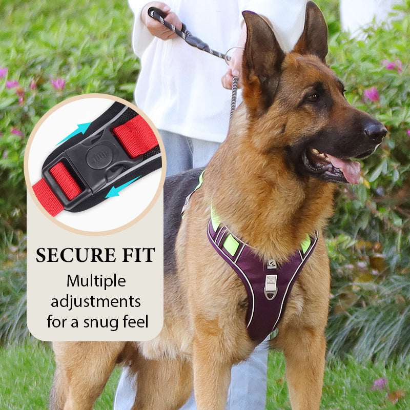 SafeWalk — Veilig Hondentuigje | 50% KORTING