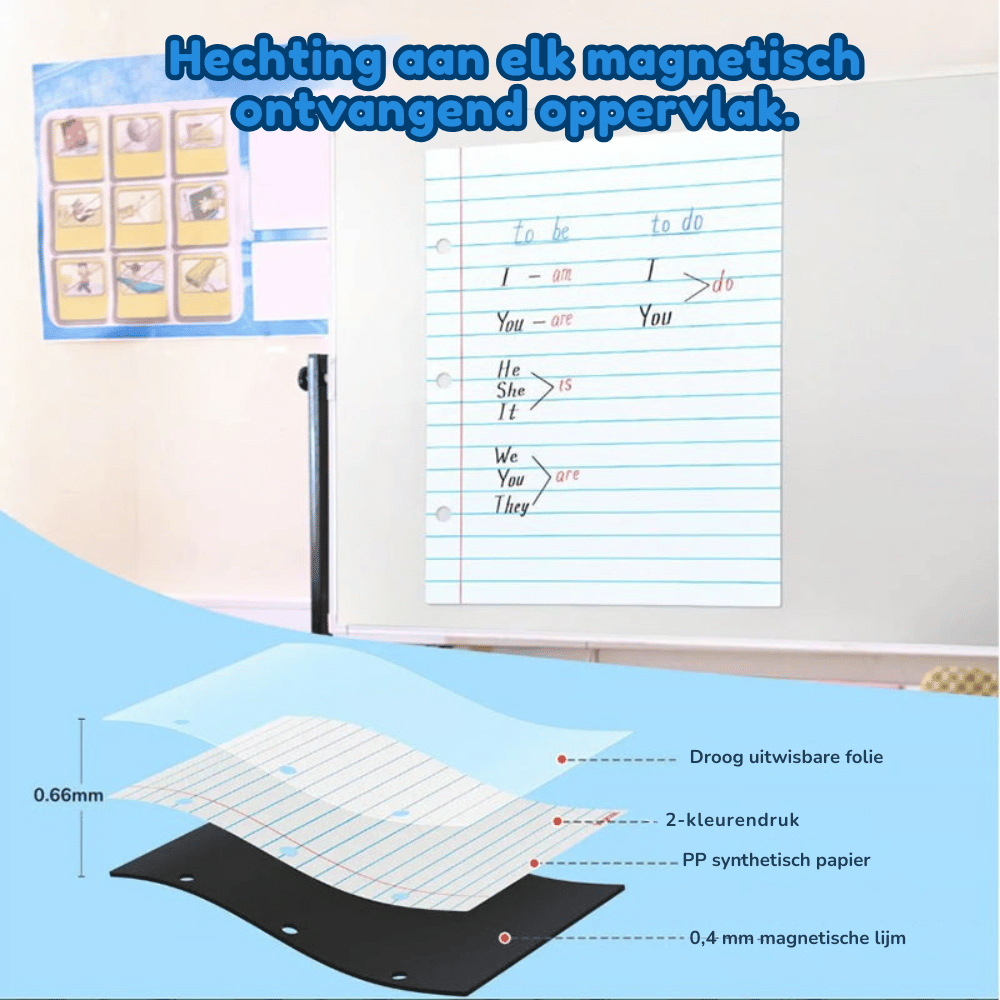 MagnaLine Pro — Magnetisch Gelijnd Whiteboardvel | 50% KORTING