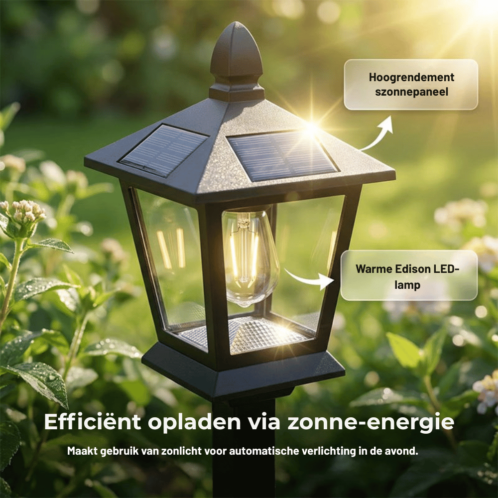 GardenGlow — Solar Plantenlamp | 50% KORTING